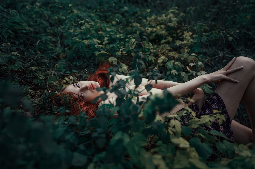 Фотография автора Георгий Сигал