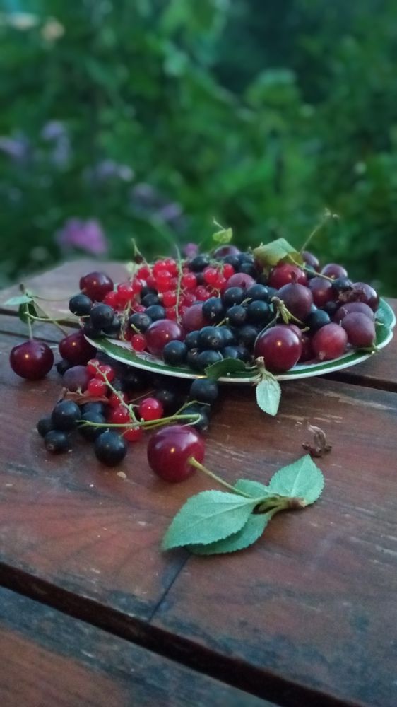 Photograph by Дмитрий Кашиков