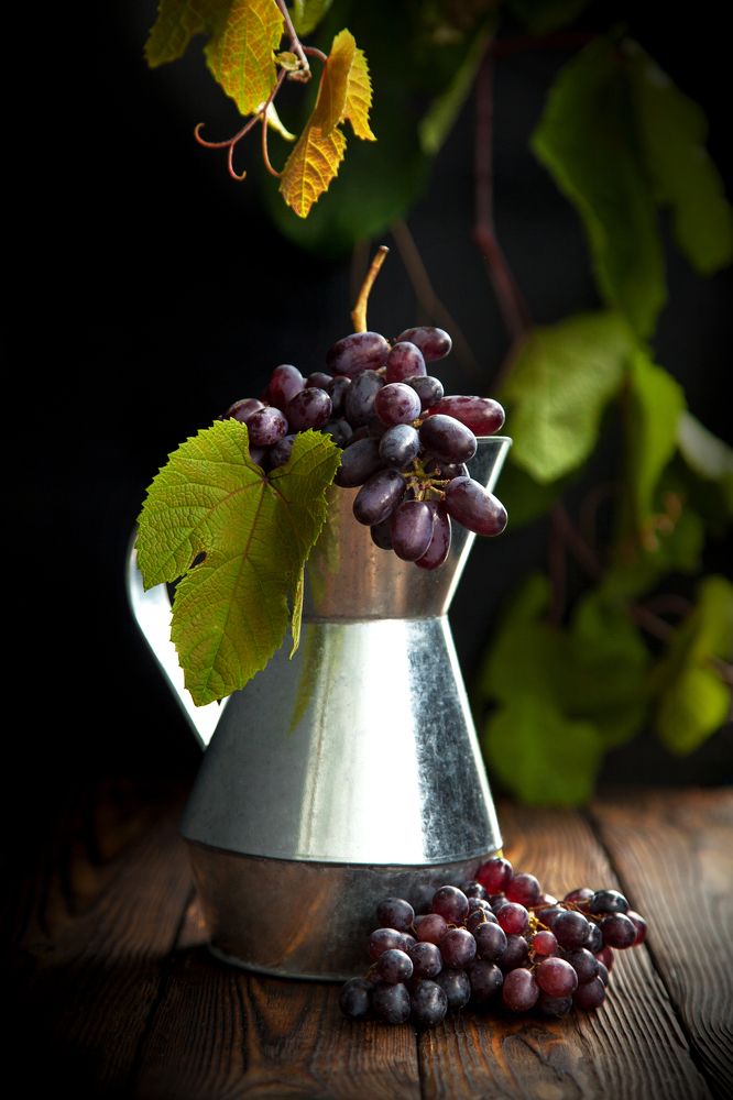 Photograph by Елена Фетисова