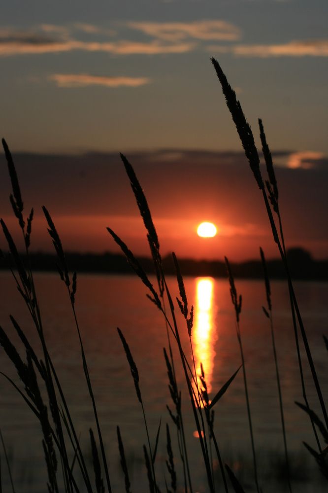 Photograph by Ирина Вассерлауф