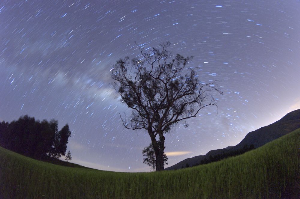 Star Trails