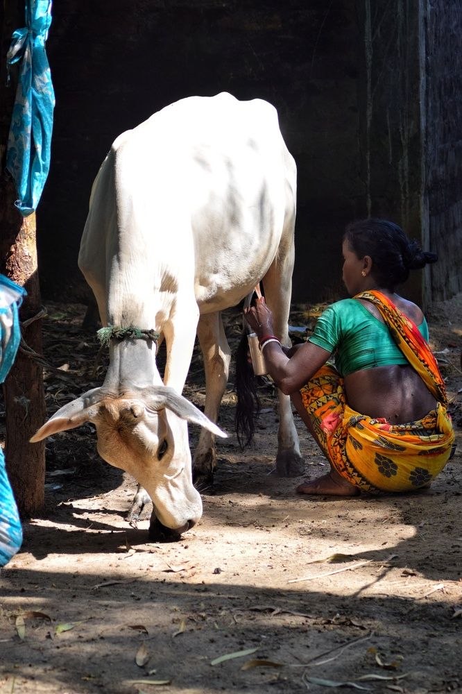 Photograph by Prithwiraj Sarkar