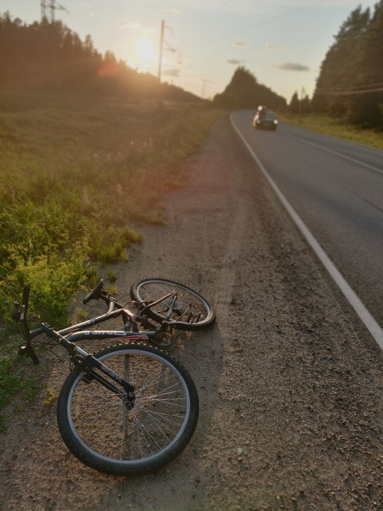 Первый велопрокат. 25 км.