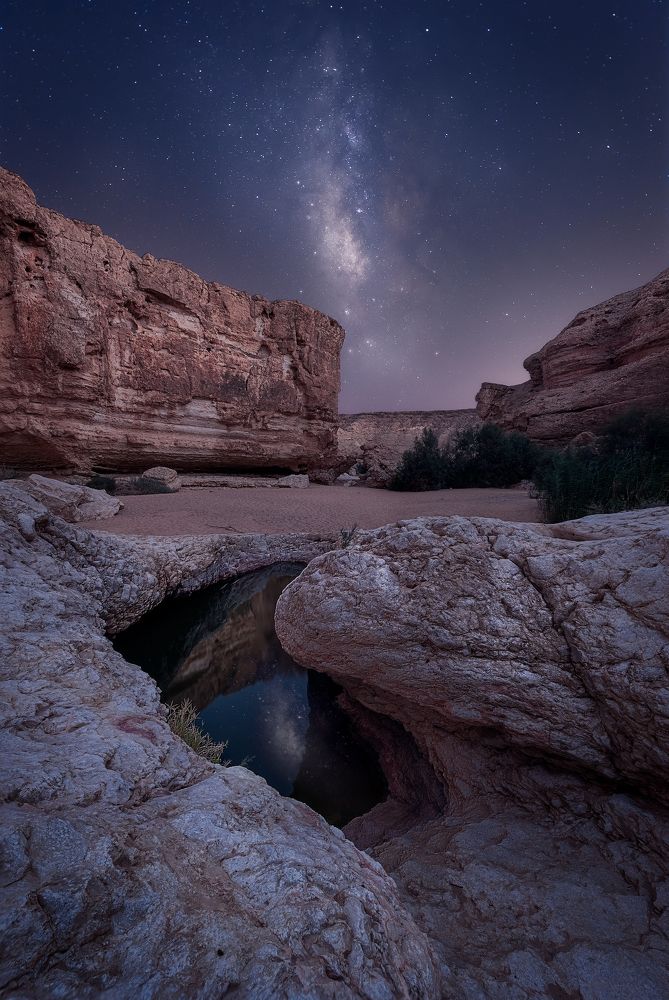 Photograph by Amos Ravid