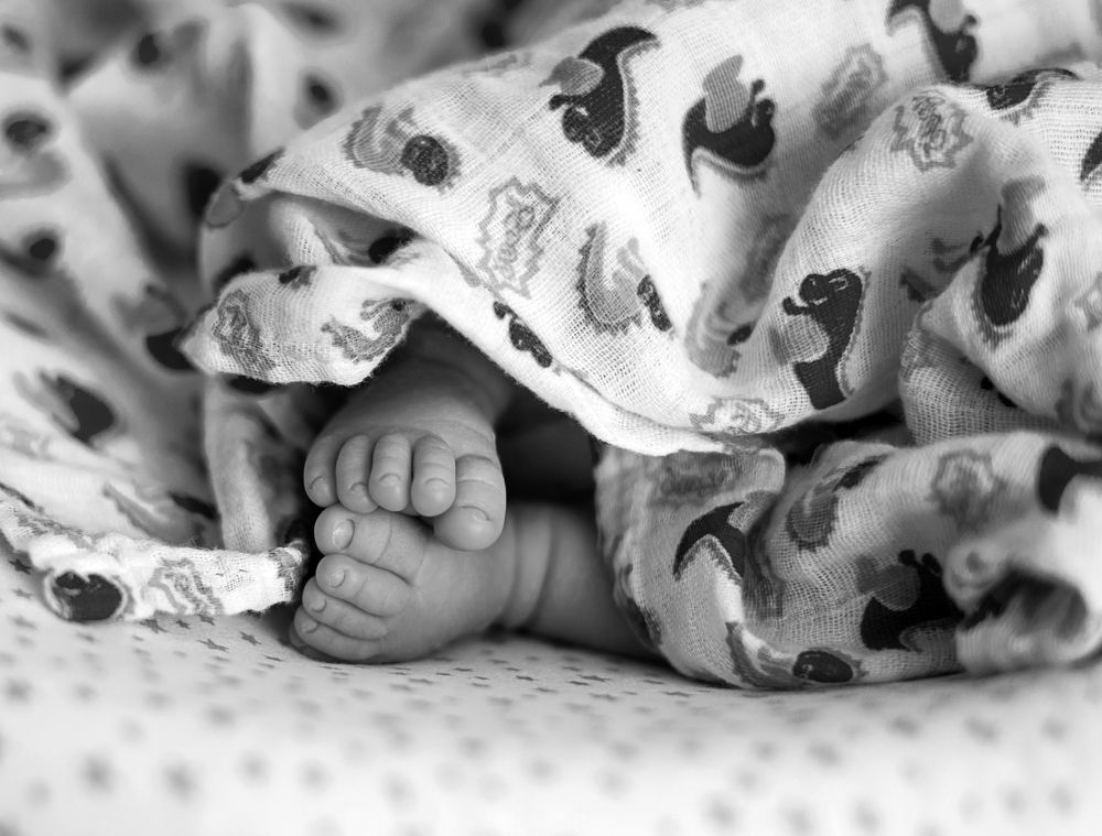 Фотография автора Дарья Воронина