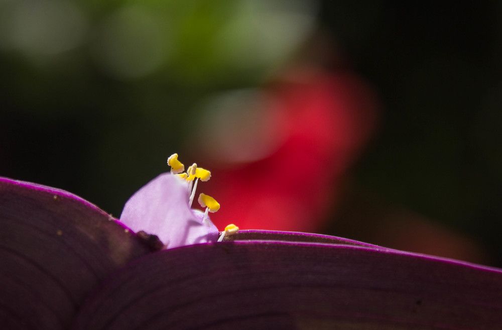 Photograph by Ali RAHILA