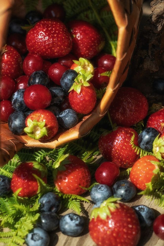 Photograph by Екатерина Ефимова