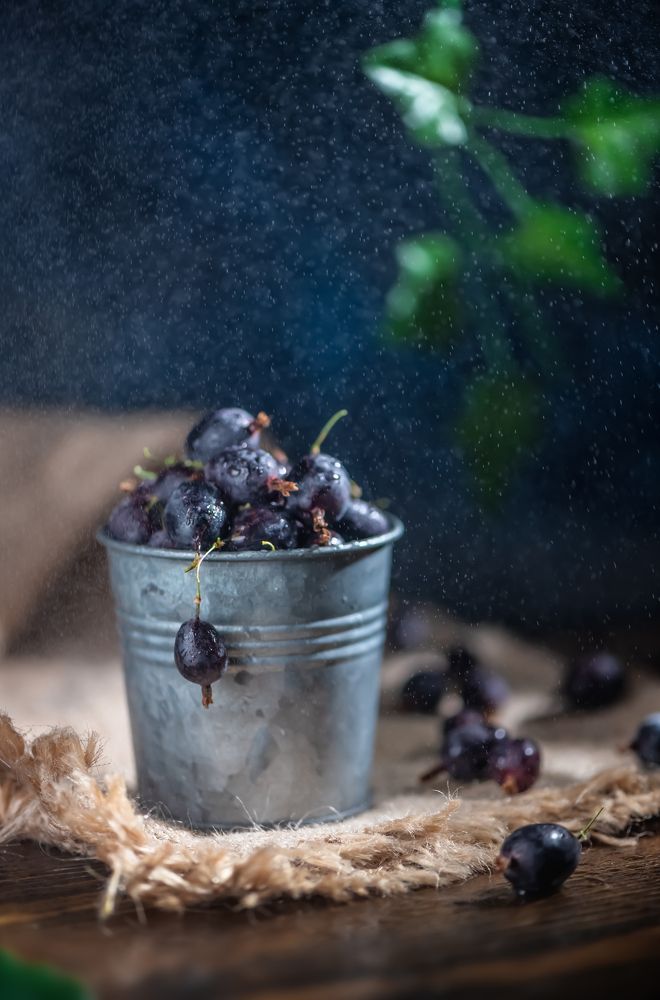 Photograph by Ольга Ильина