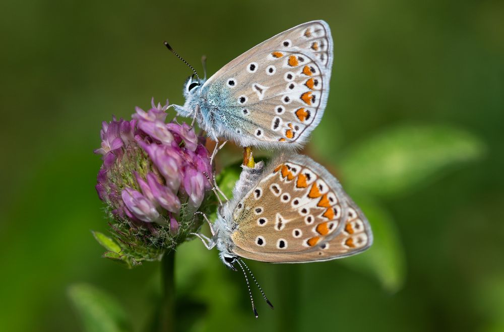 Photograph by Дмитрий Крючков