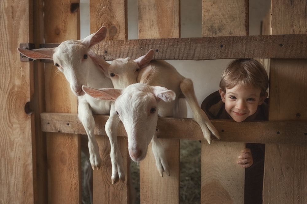 Козлятушки-ребятушки