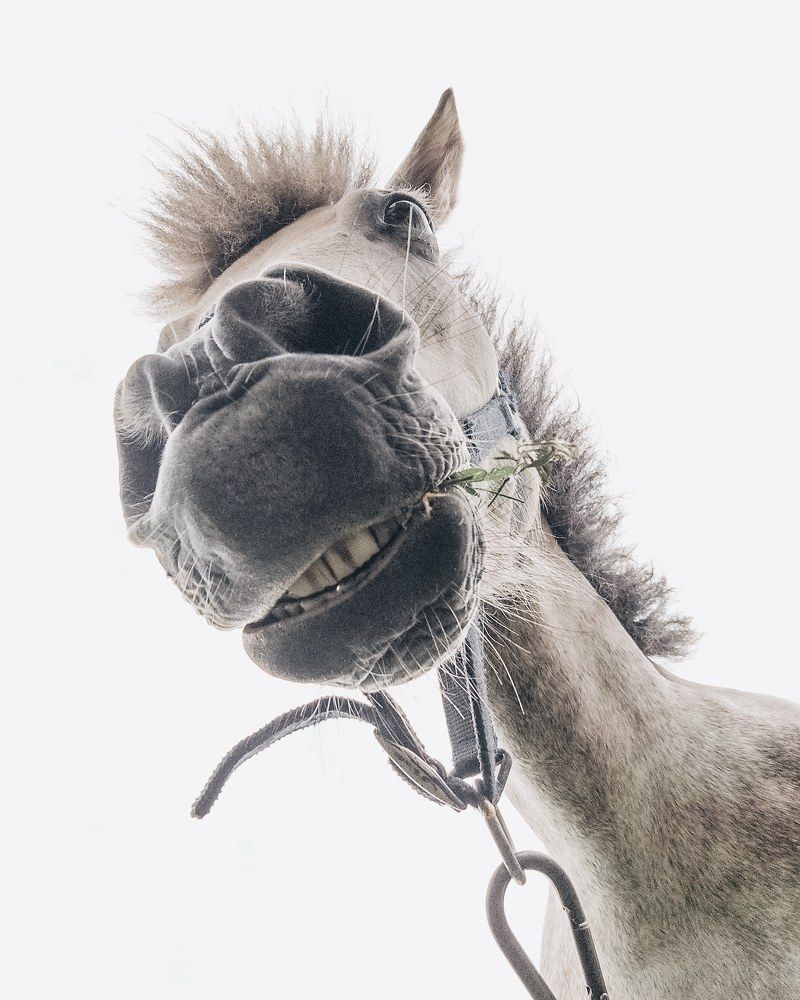 Photograph by Лионелла Халиулина