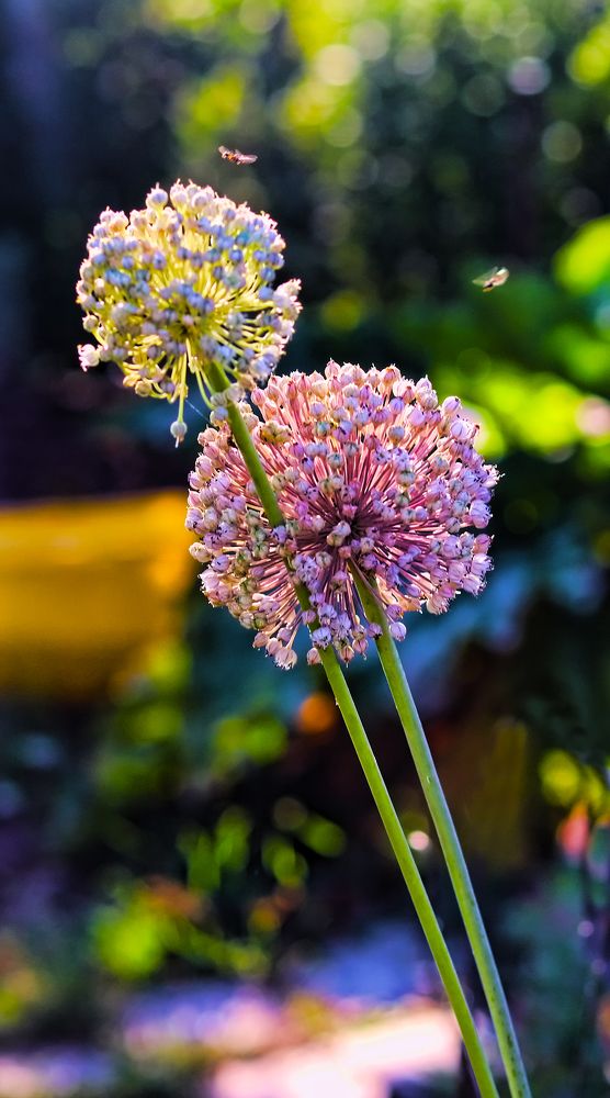 Photograph by Tatyana Semenova