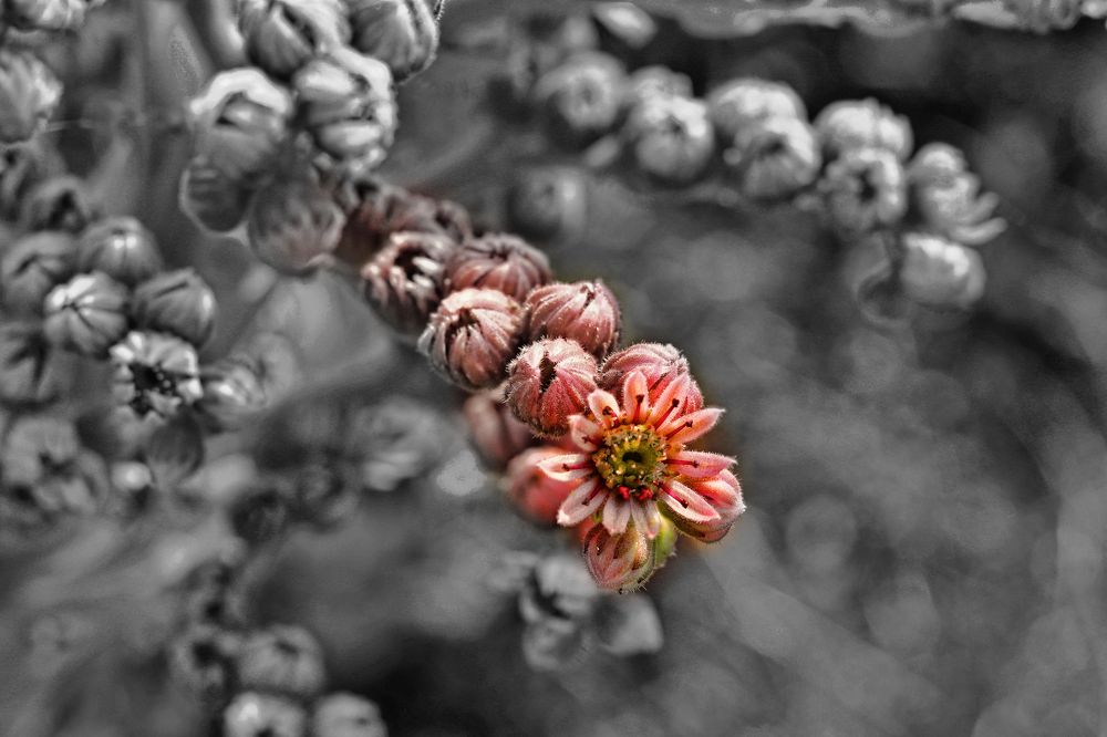 Photograph by Tatyana Semenova