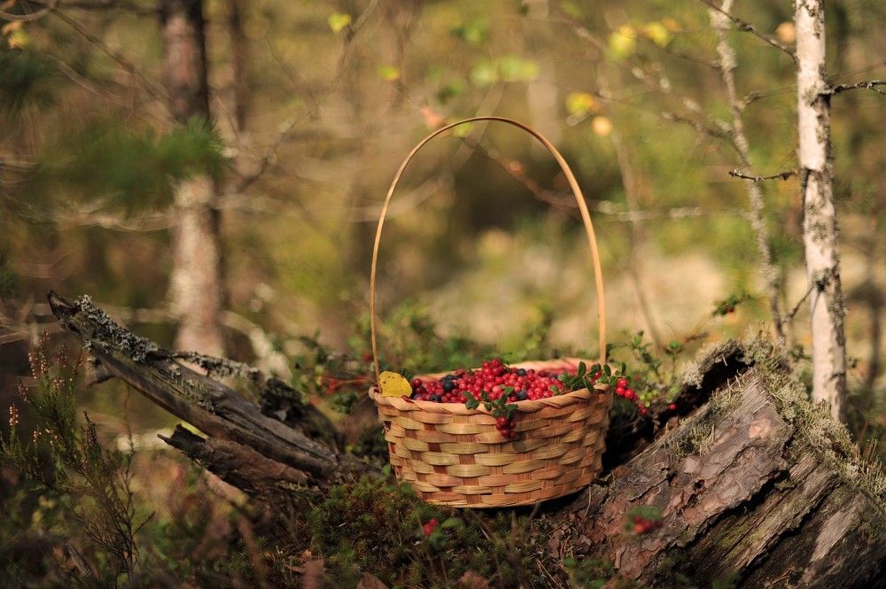 Photograph by Юрий Яковлев