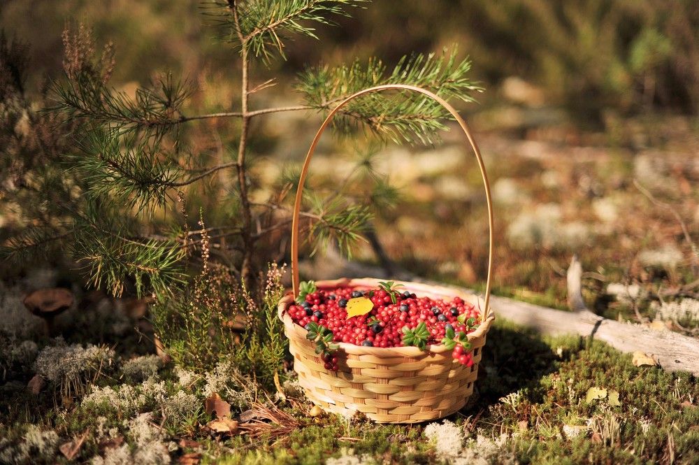 Photograph by Юрий Яковлев