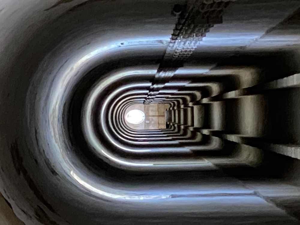 Photograph by Luís Damas