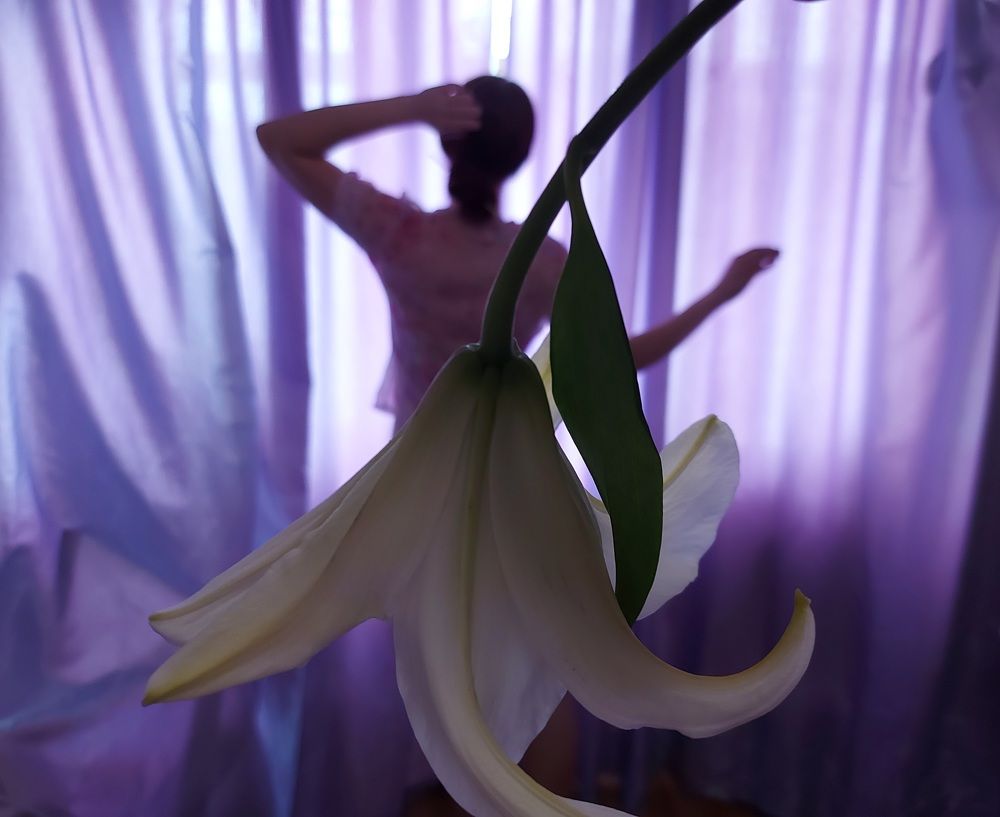 Photograph by Алена Марченко