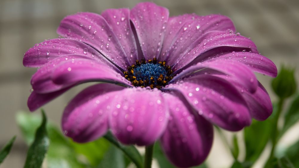 Photograph by Андрей Щербинин