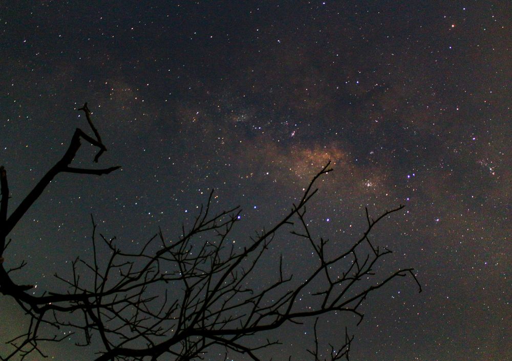 Photograph by R Taufit