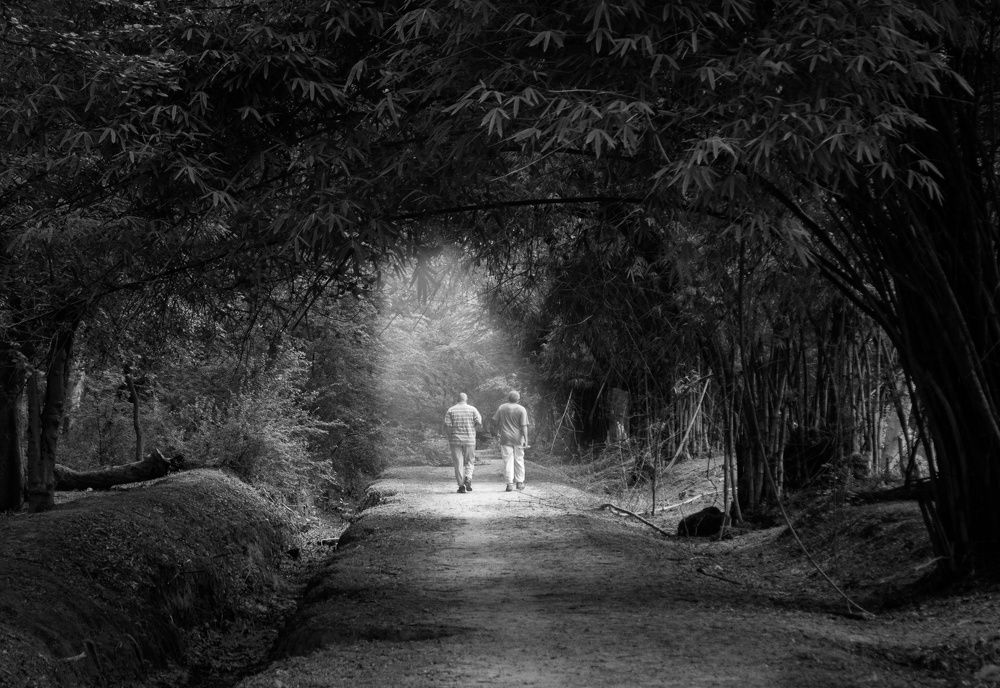 Photograph by Himanshu Gupta