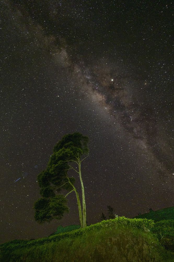 Photograph by Lugyanti Sukrisman