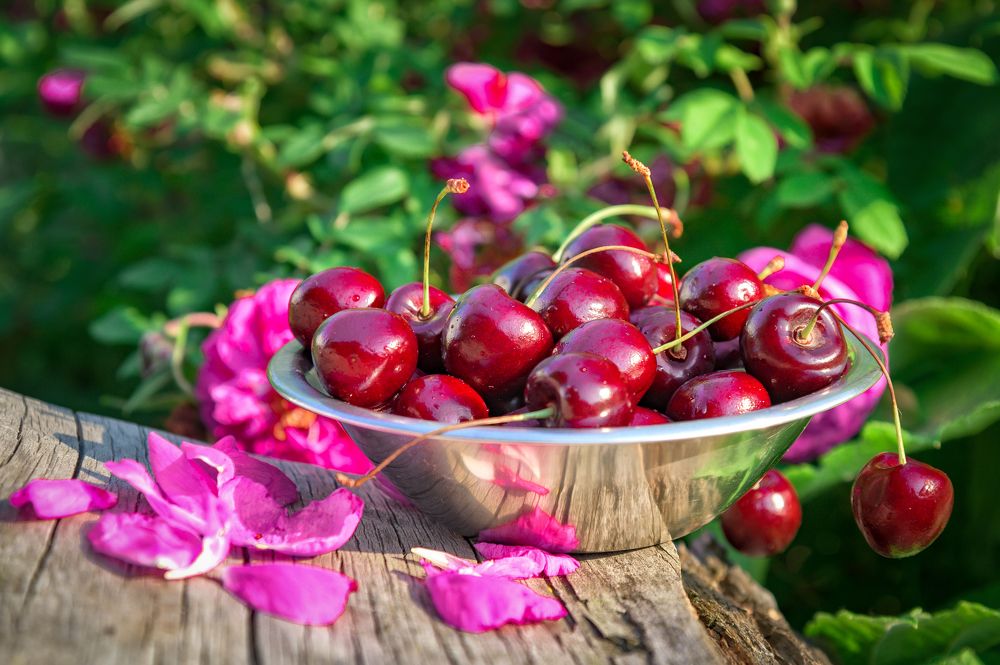 Вкусное лето