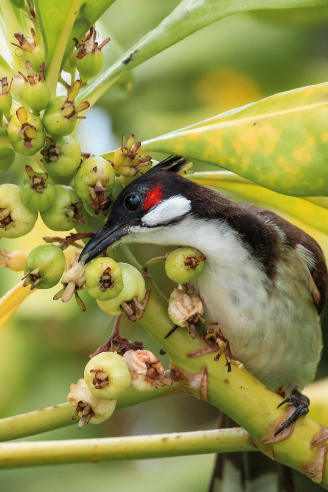 Photograph by Varun Bhusari