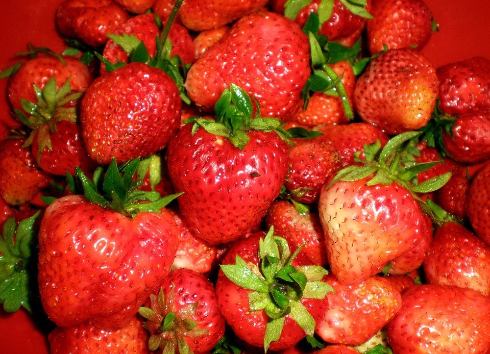 Photograph by Татьяна Пальчикова