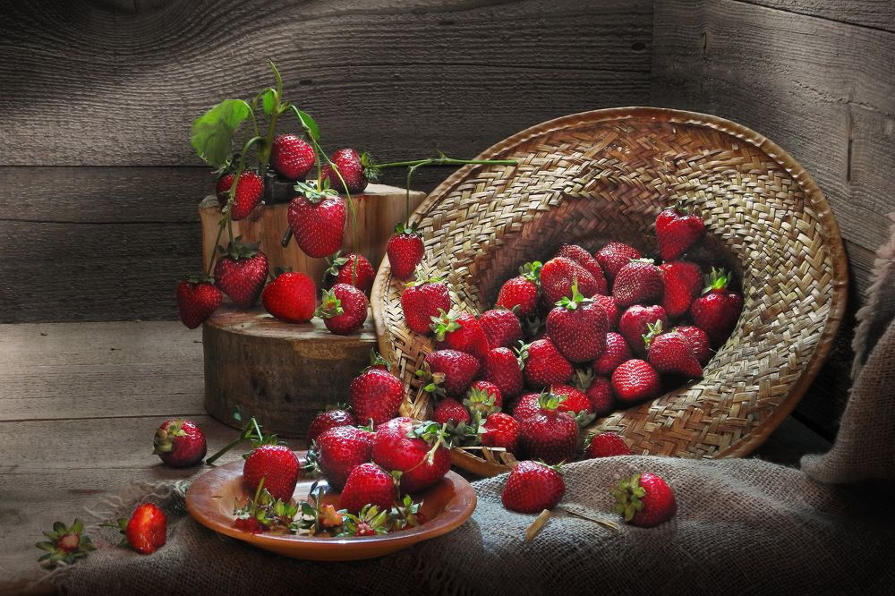 Photograph by Сергей Фунтовой