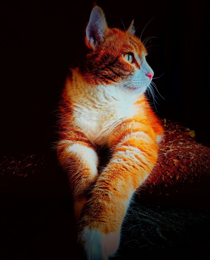 Photograph by Василий