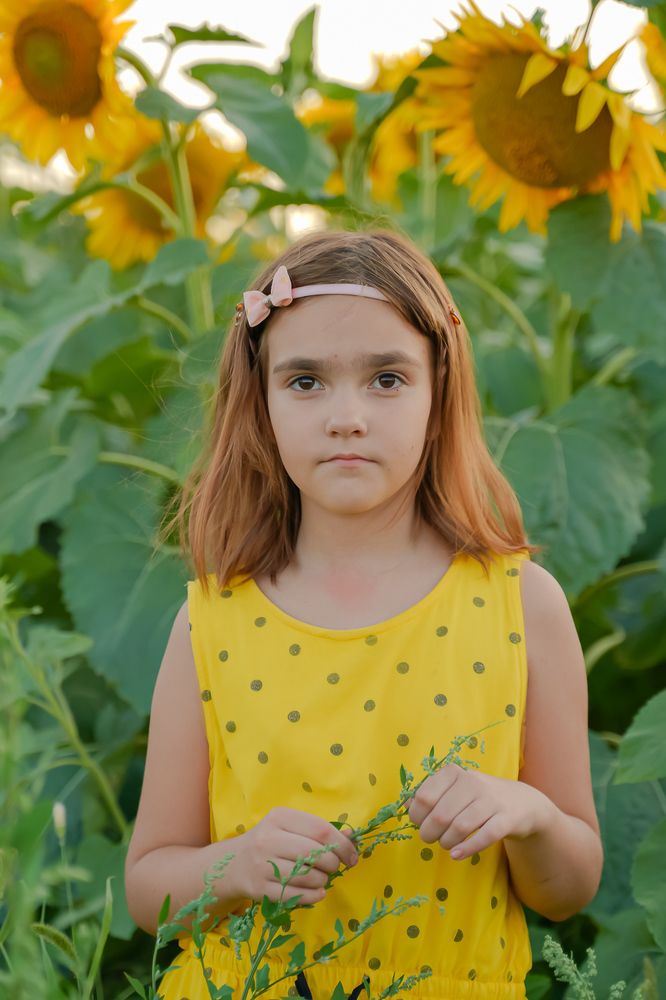 Фотография автора Ольга Осипова