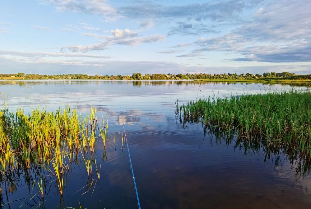 Ловись, рыбка)