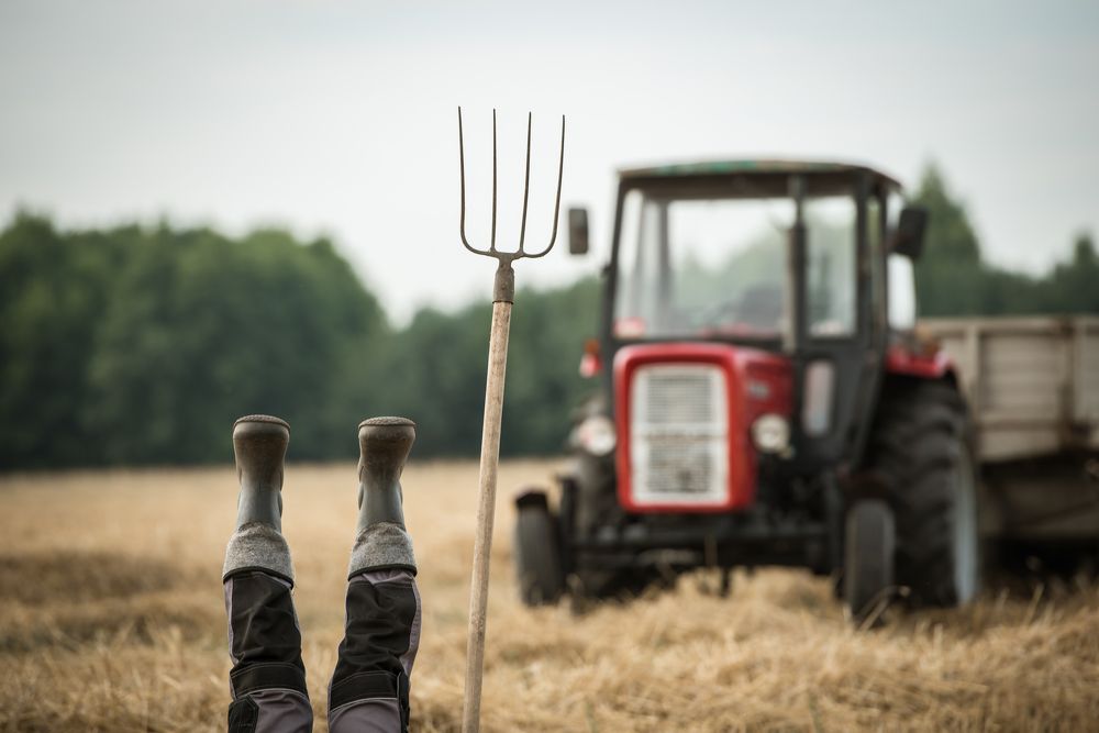 Photograph by Ania Ciolacu