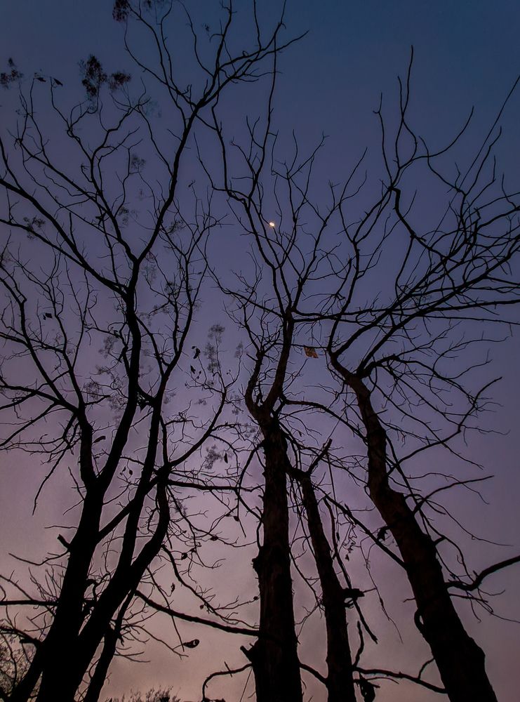 Photograph by Amit Maheshwari