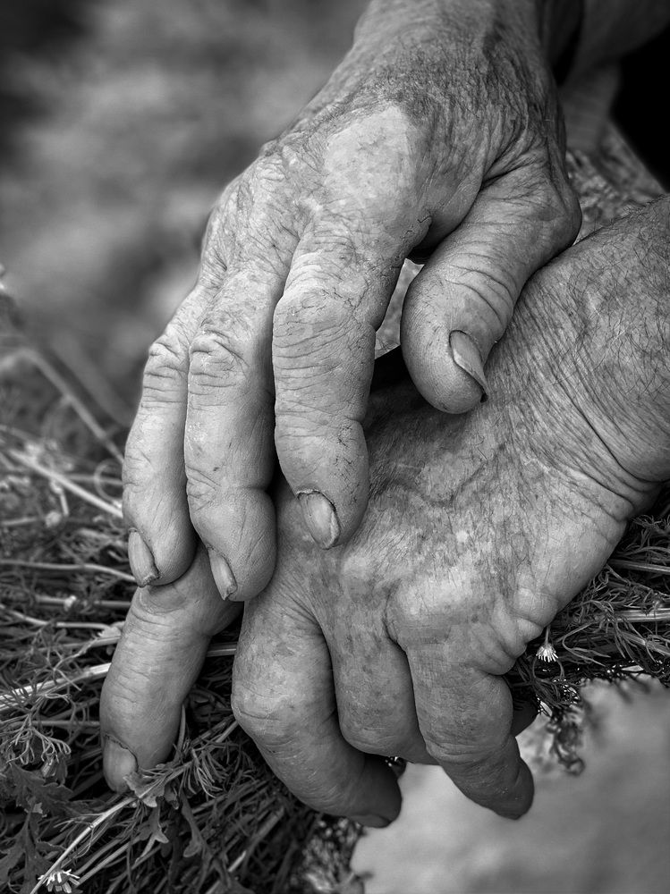 Папины руки