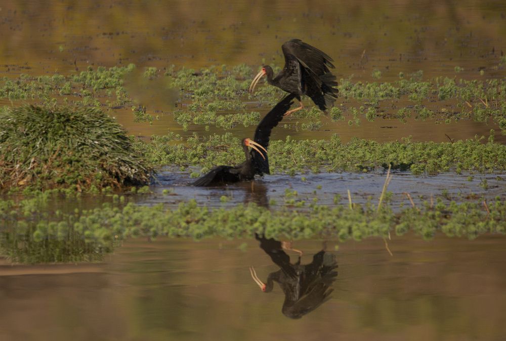 Photograph by Paulo Fernando Campana