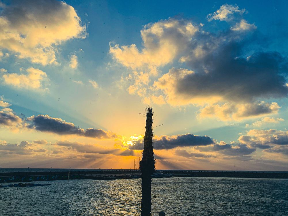 Photograph by Ahmed zaki