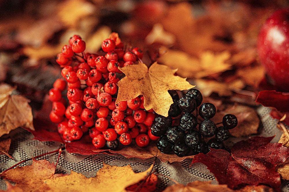 Photograph by Татьяна Губанищева