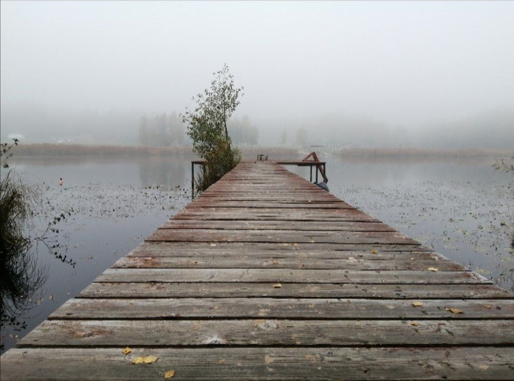 Photograph by Marina Ivanova