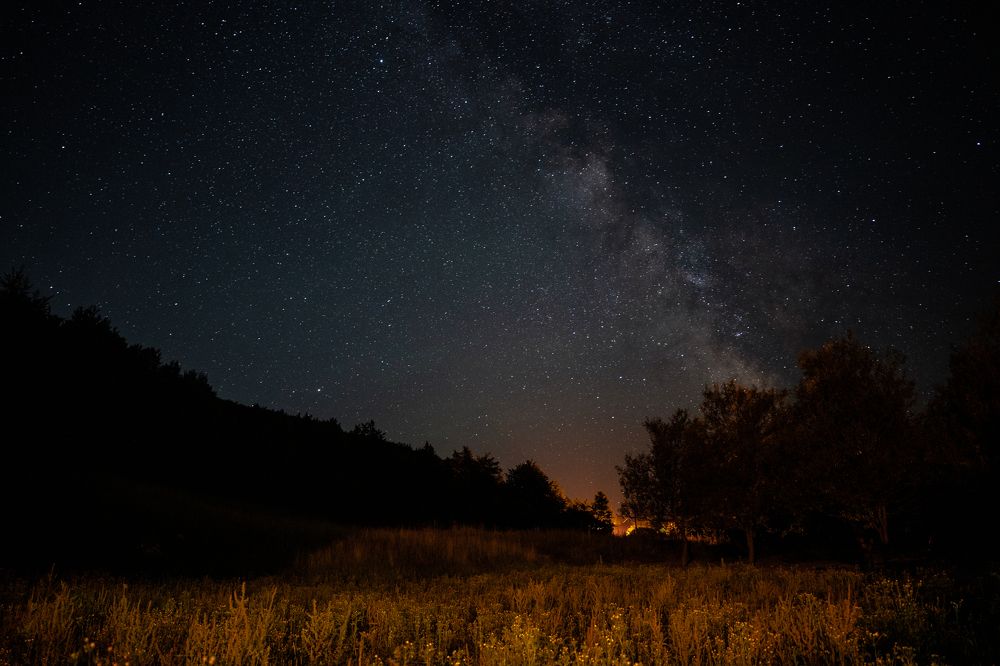 Photograph by Sebastian Bundschuh