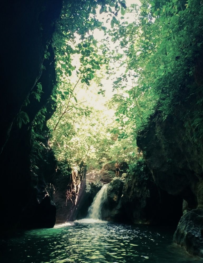 Photo #6354753