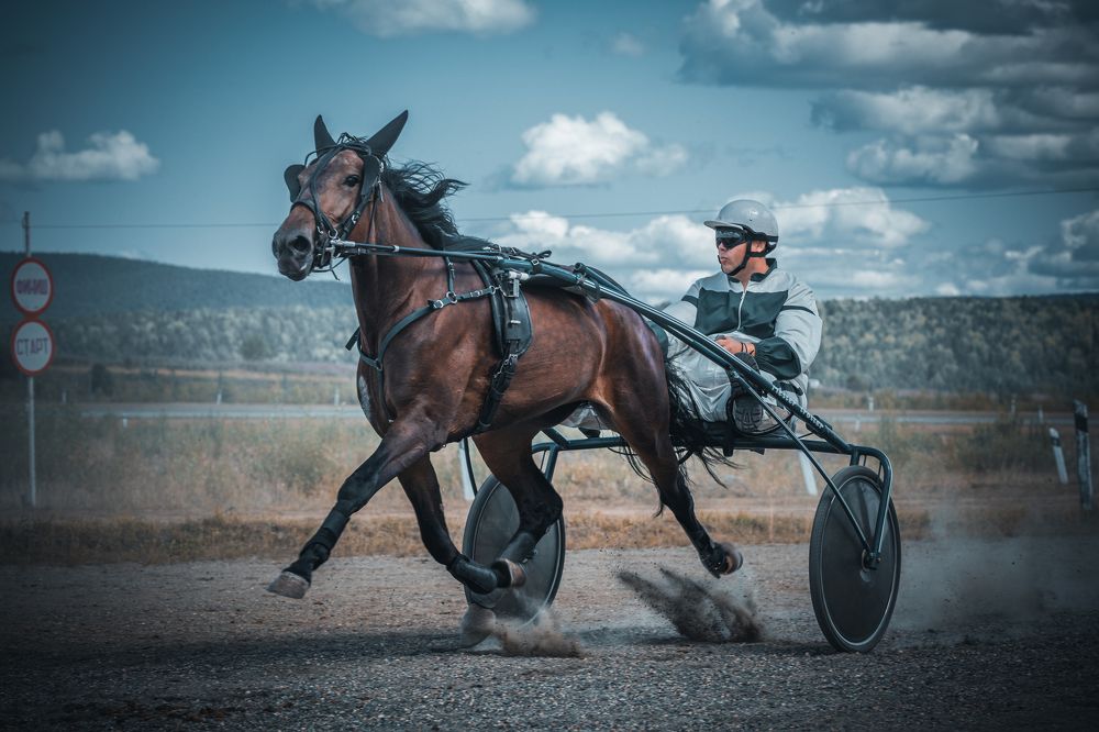 Фотография автора Антон Золотухин