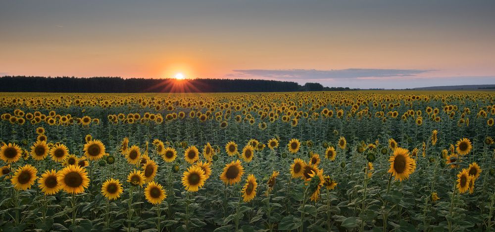 Photograph by Сергей Степанов