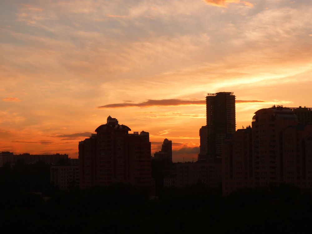 Photo #6354892