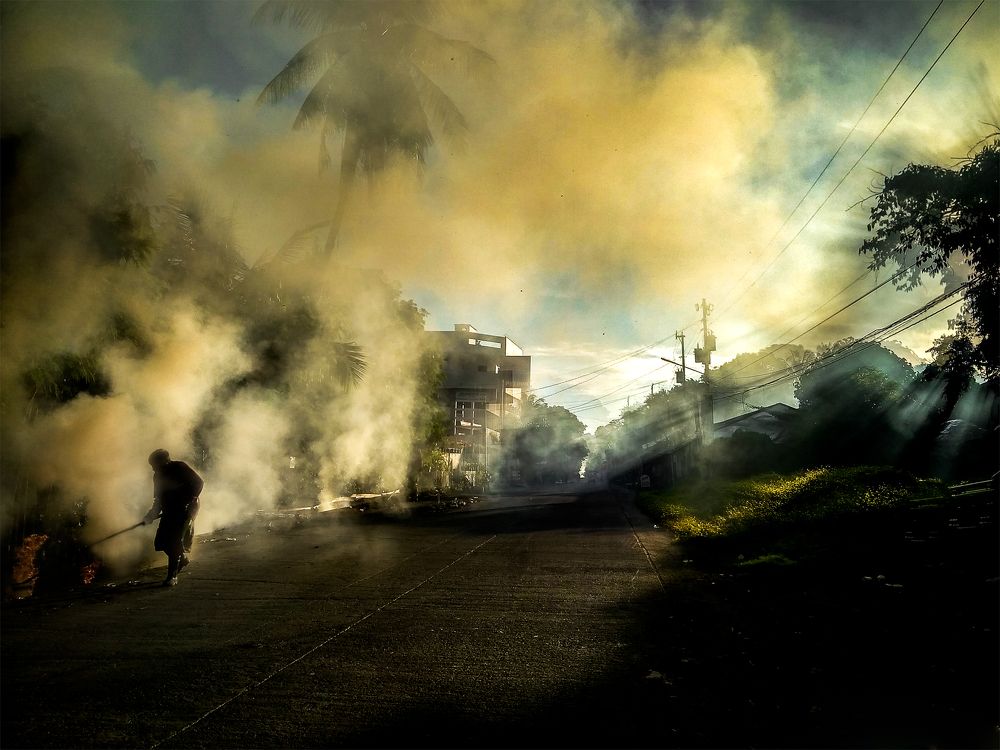 Photograph by Meryll Jo Rado