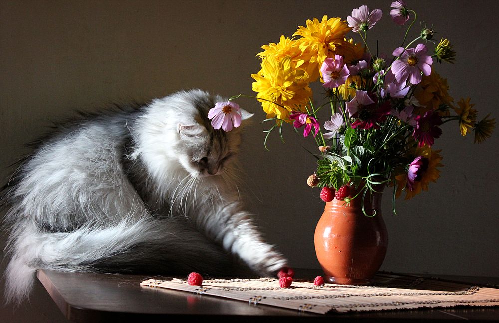 Photograph by Зоя Быкова