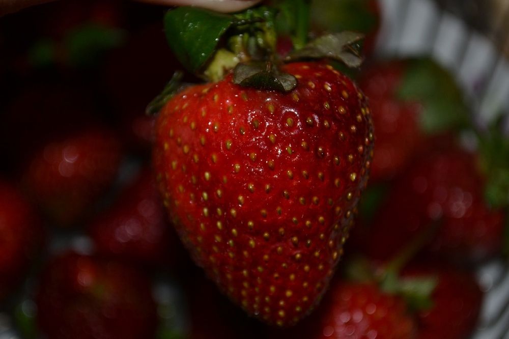 Photograph by Яна Сенчилина