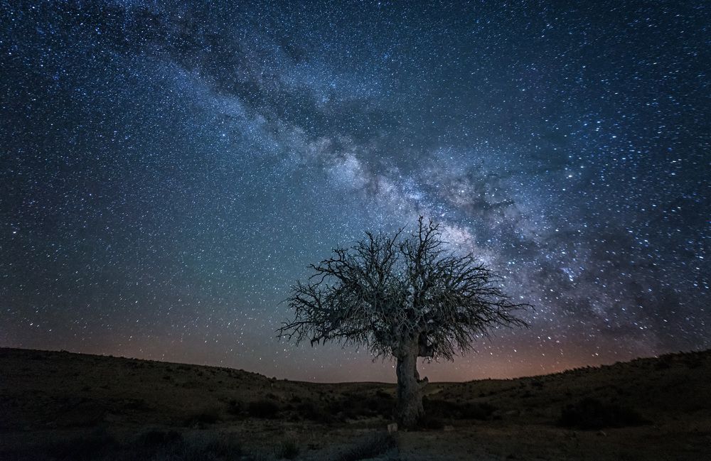 Photograph by Григорий Крамаренко