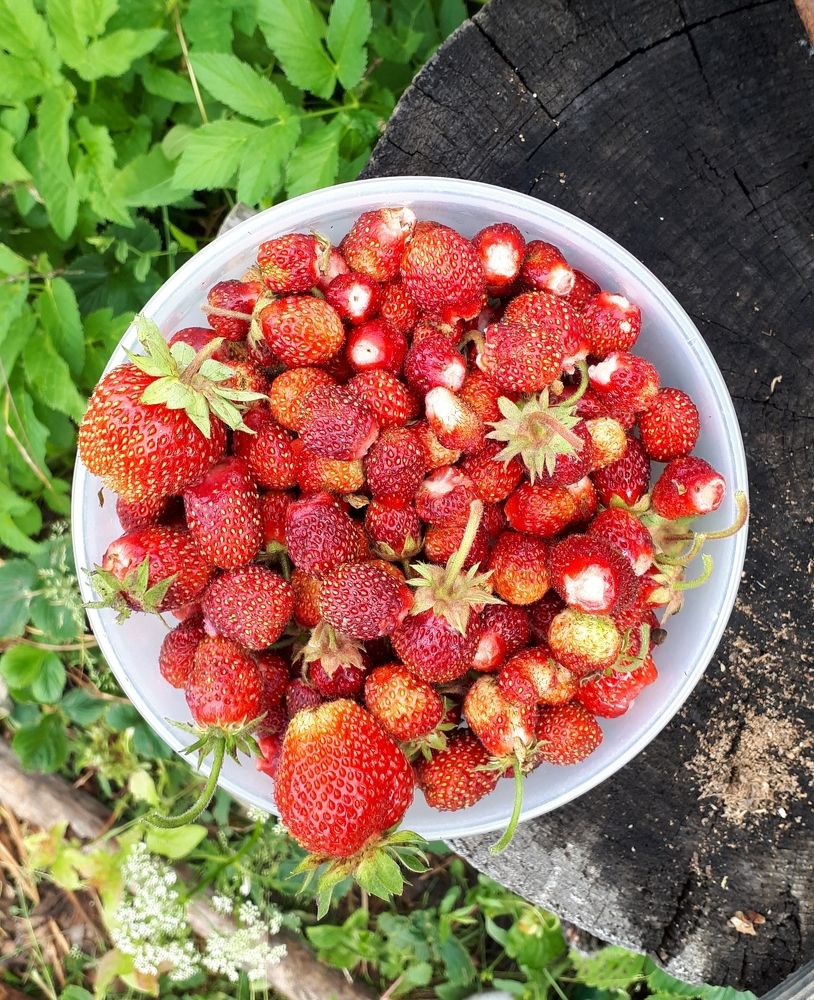 Photograph by Ирина Аникина