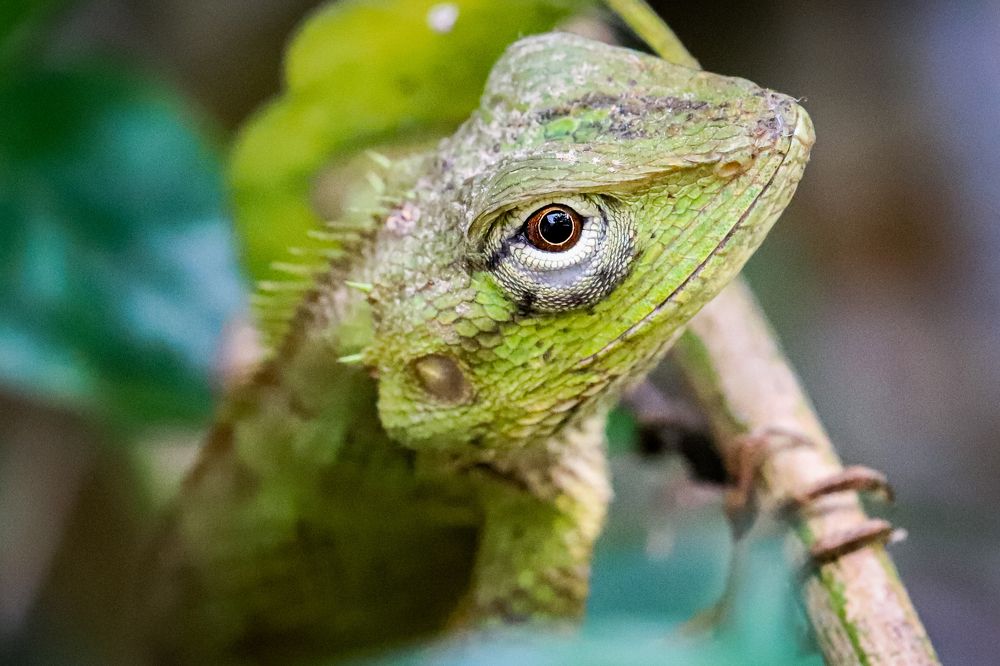 Photograph by Arkachanda Roy